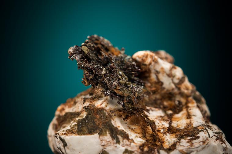 GERSTLEYITE (type locality) on BORAX